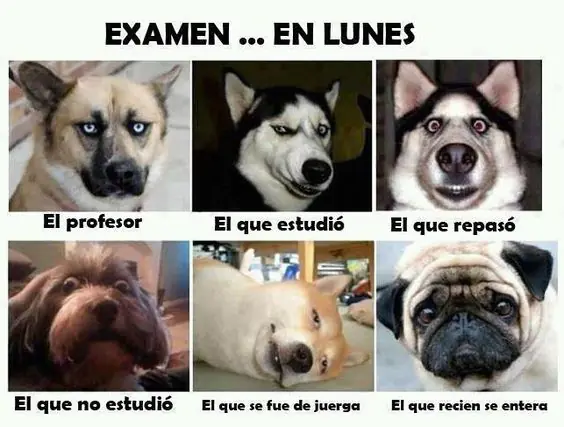 Imágenes de humor (pasa y ríete rufián)