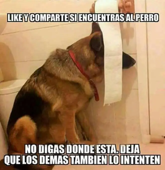 Humor Nocturno, No amargados, Memes y+ (10/11/16)