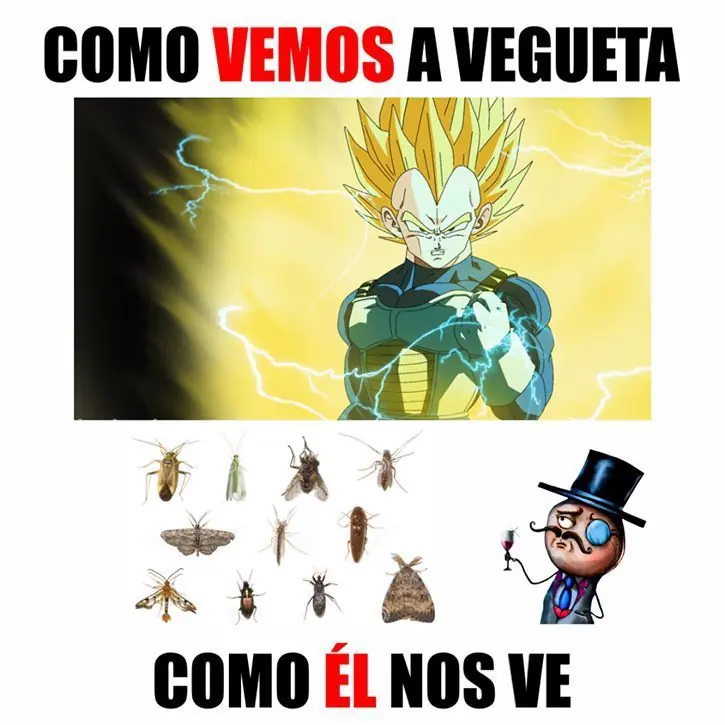 50 imagenes de Humor Lincesco #40