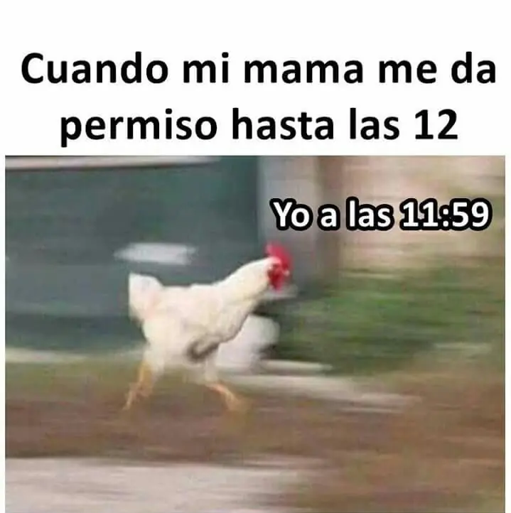 Humor Nocturno, No amargados, Memes y+ (10/11/16)