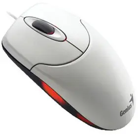 mouse