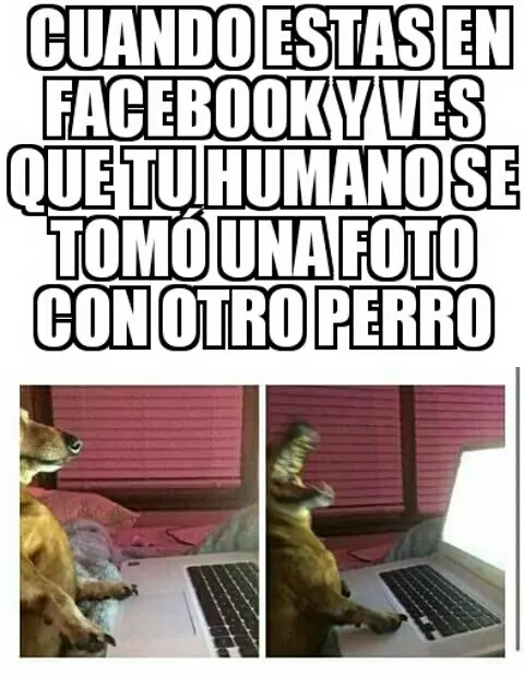 hunor