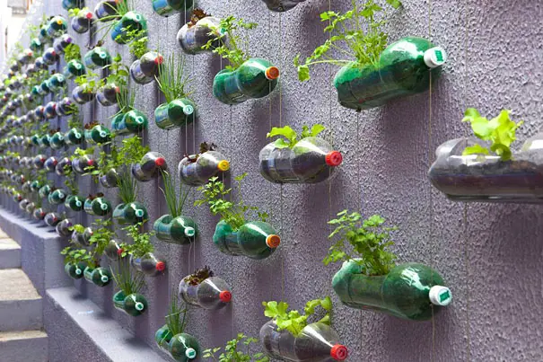 Creativas formas de volver a utilizar botellas de plástico