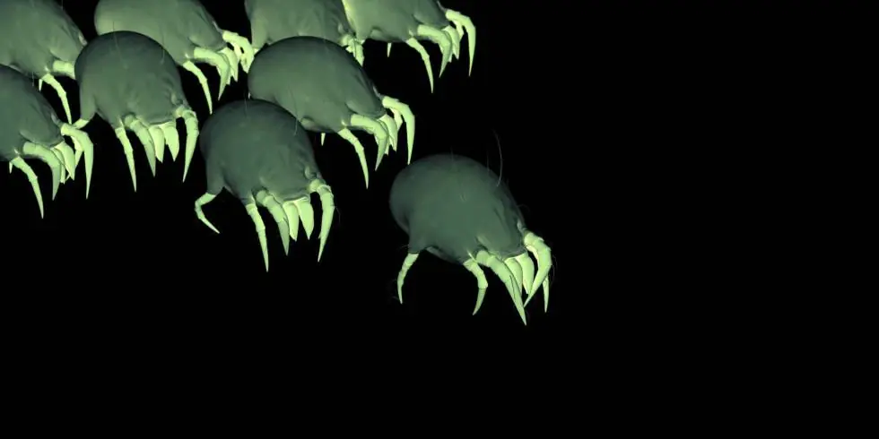 estos zombis son de verdad