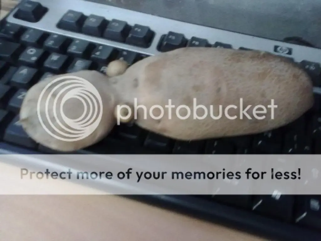 Papas con formas raras