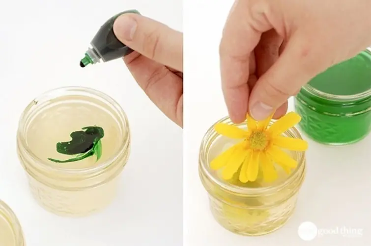 aromatizantes