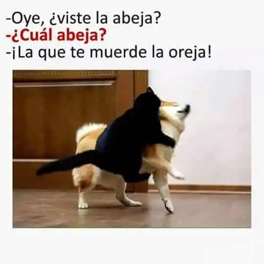 aburrido pasate