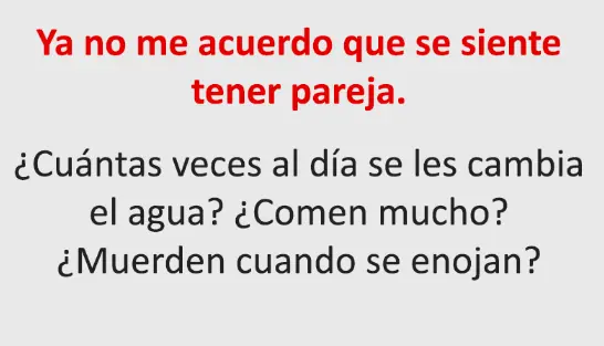 Humor de martes 07/06/2016