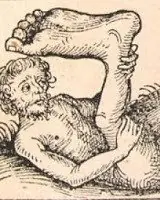 Liber Monstruorum