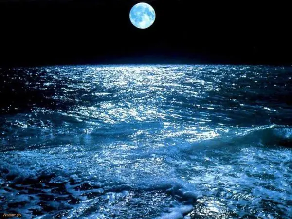 luna luna