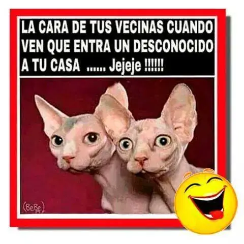 entra y reite
