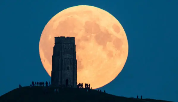 14 de noviembre 2016