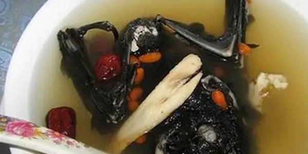 Las 10 comidas mas asquerosas del mundo.