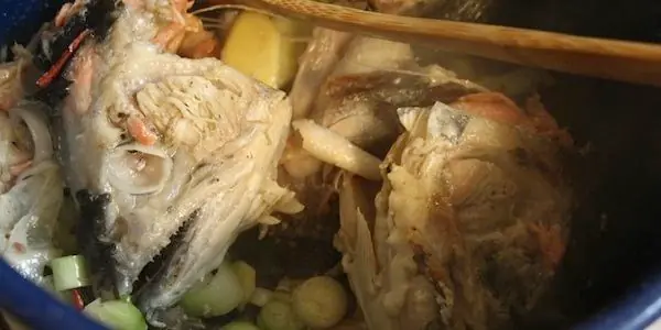 Las 10 comidas mas asquerosas del mundo.