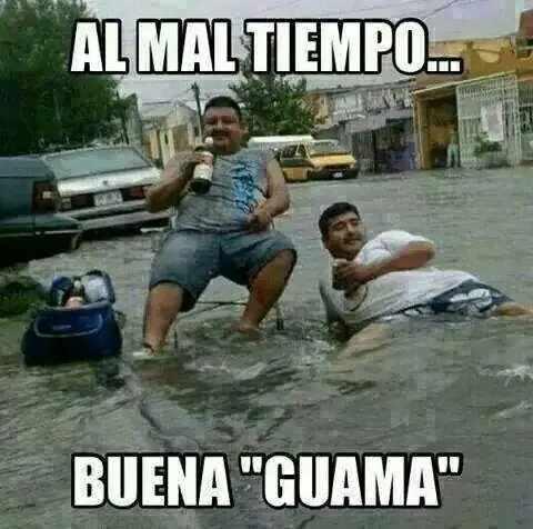 fueron