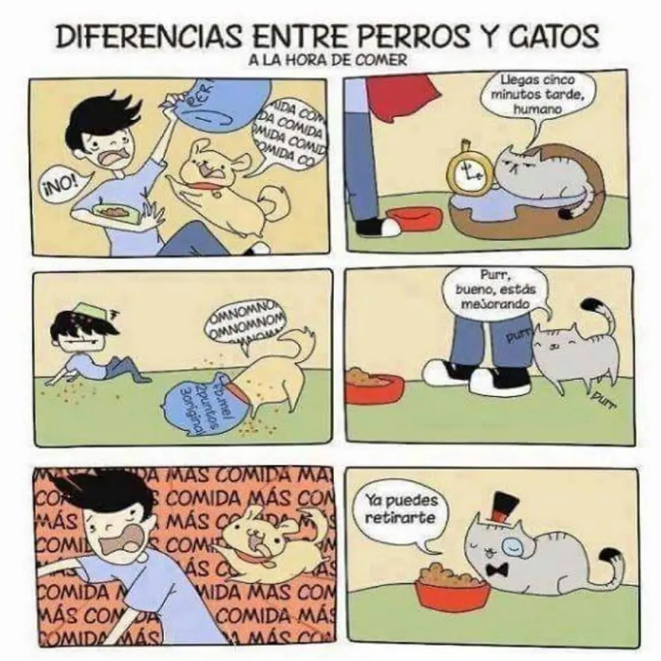 linces