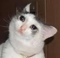 Te cuento mi mal comienzo en 2015