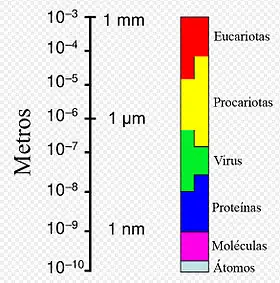 informacion de virus