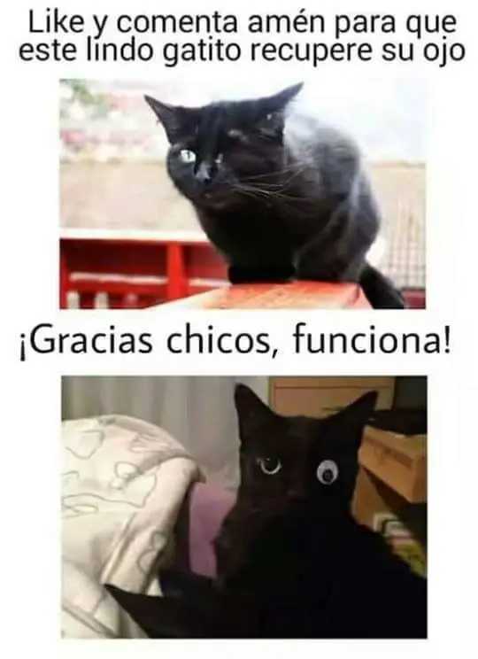 para