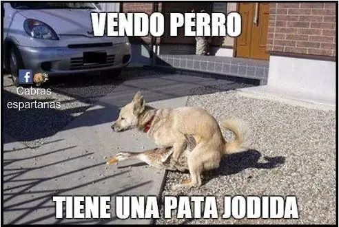 sino