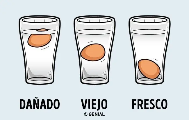 cocina facil