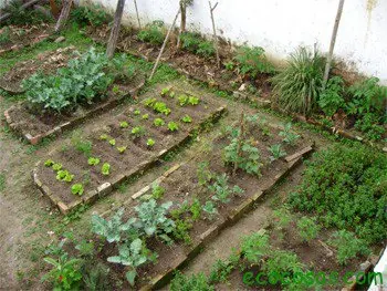 agricultura agricultura