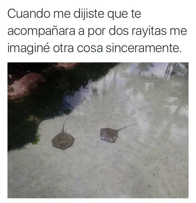 humor nocturno