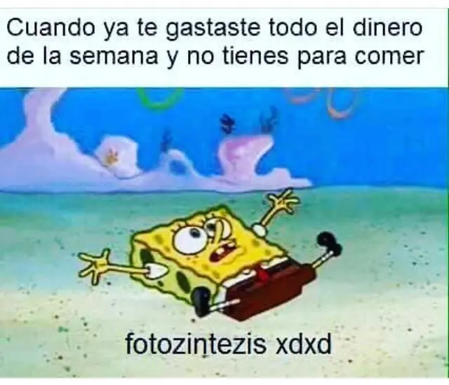 imagenes