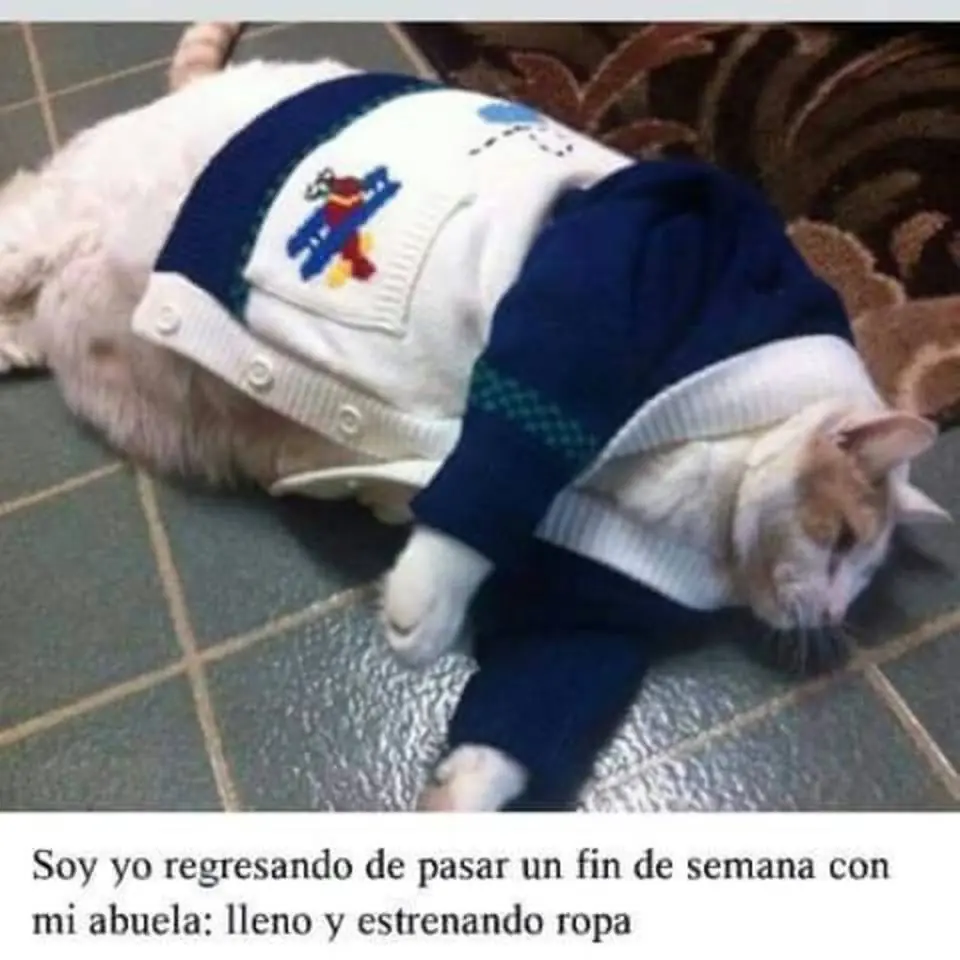 humor