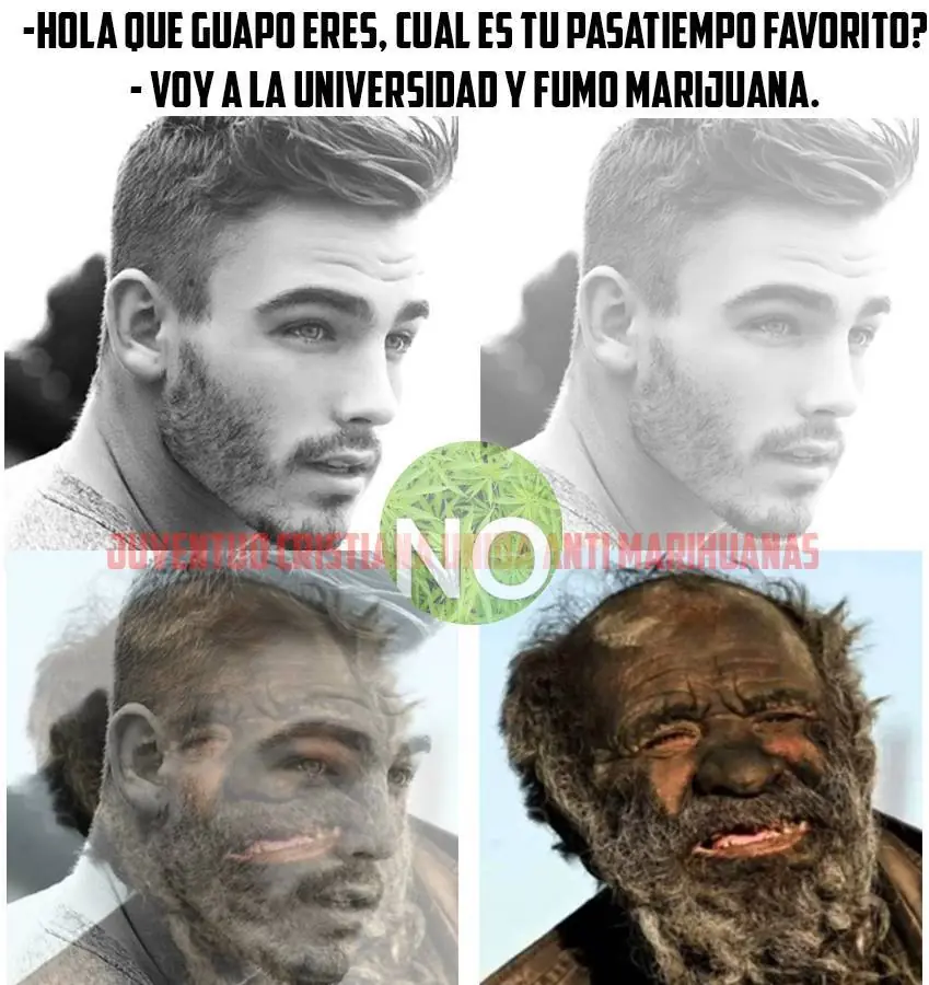 humor nocturno