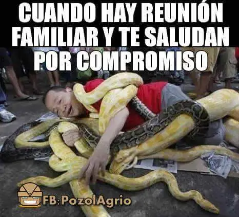 humor