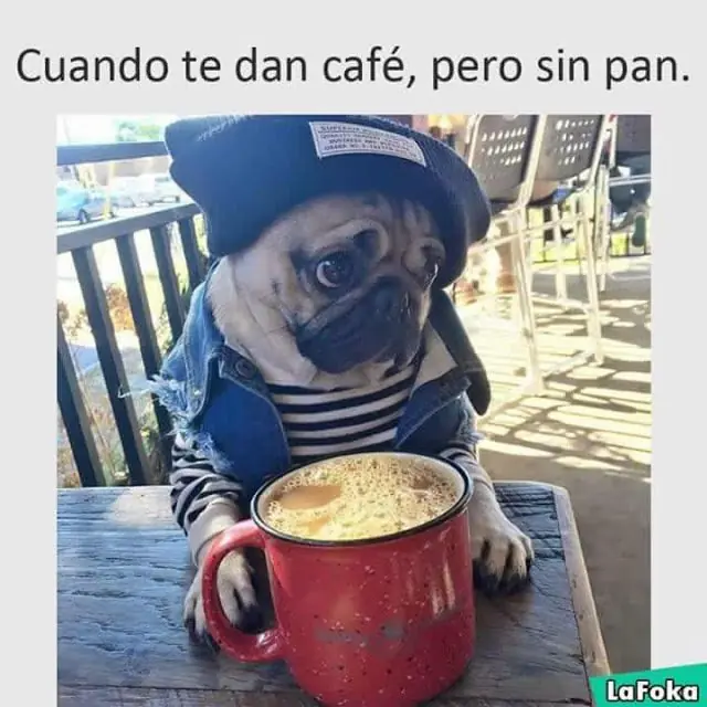 fotos