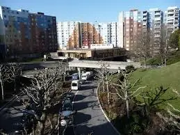 vida sana vida sana