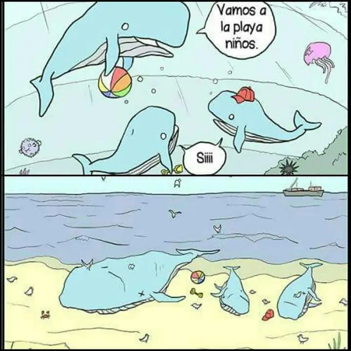 Imagenes de Humor para Linces que no duermen por la noche