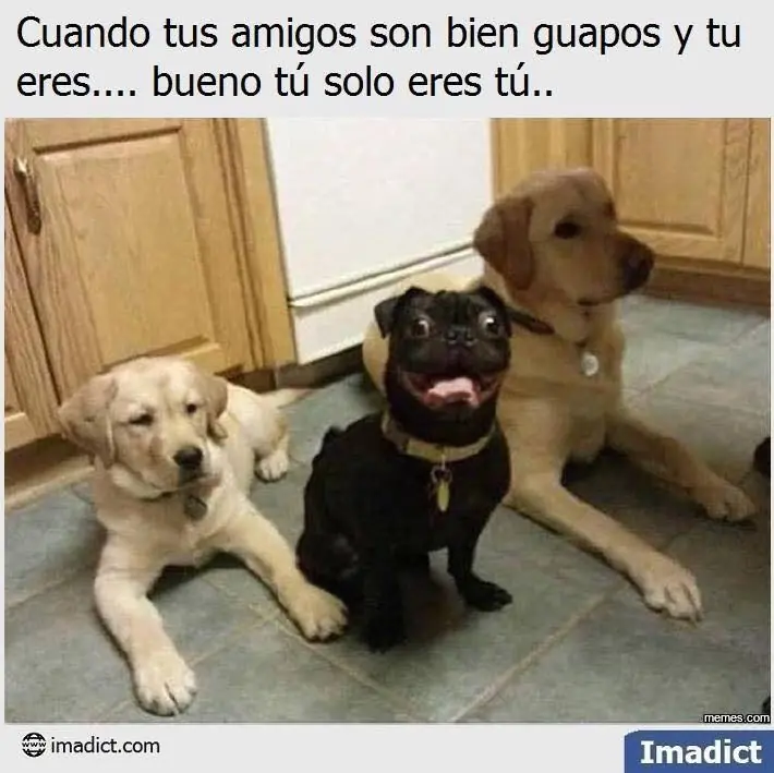 sino