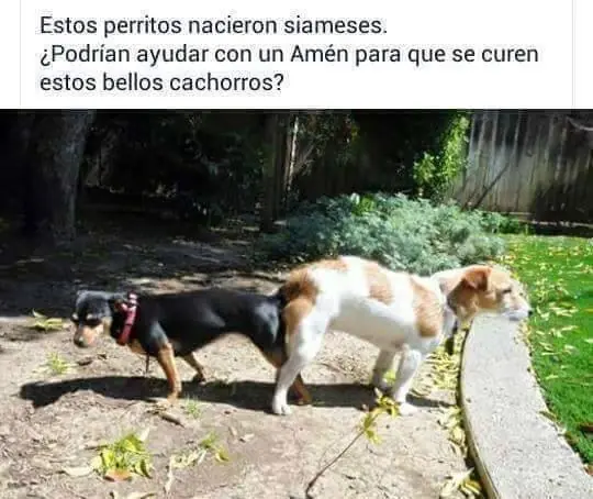 ¿Desvelado? Toma imágenes de humor #21