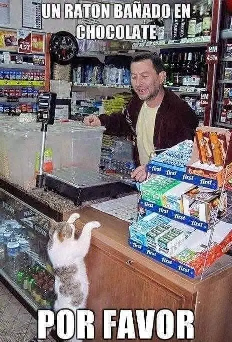 memes