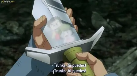 Vegetto Vegetto