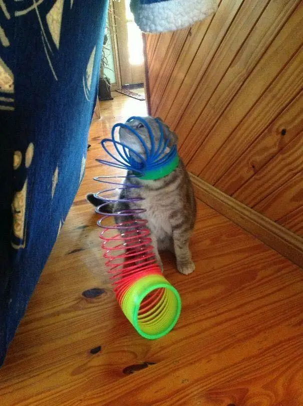 humor venezolano