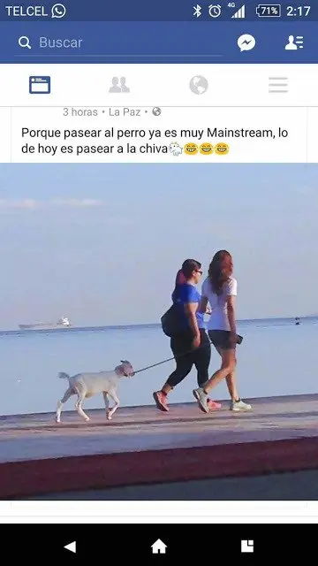 Imagenes domingueras para levantar el Domingo!
