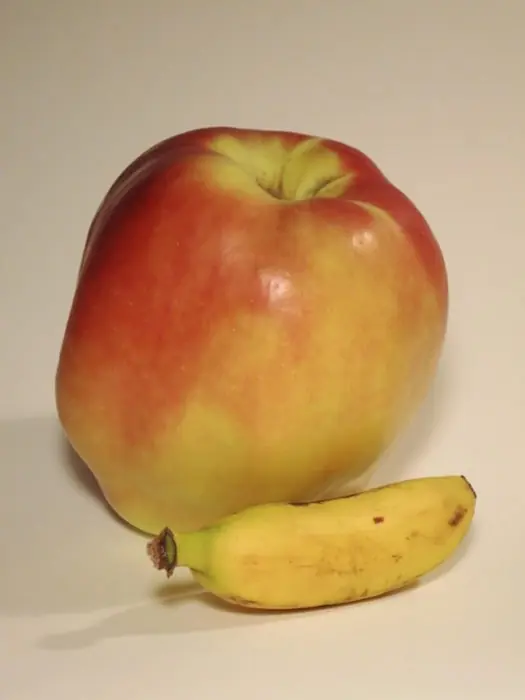 alimentos