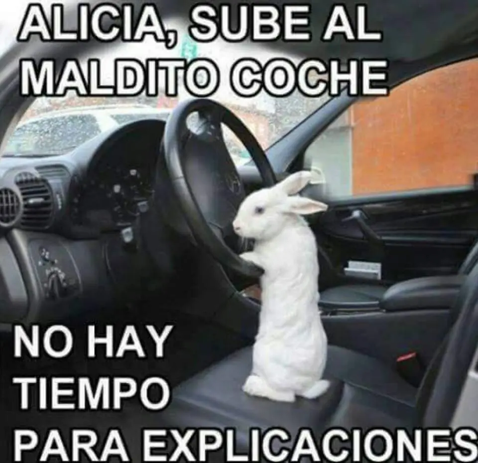 humor