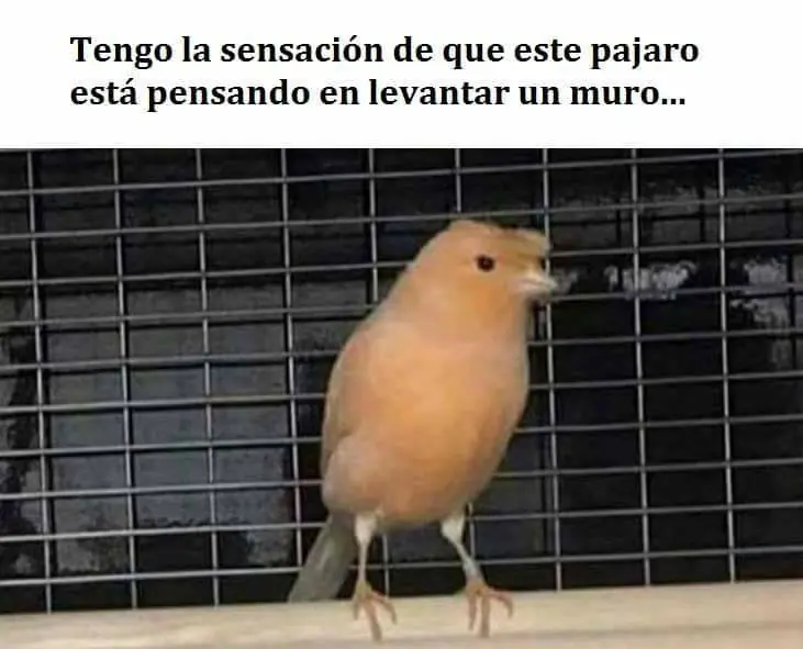 Pero mirate estas imagenes de Humor Papa