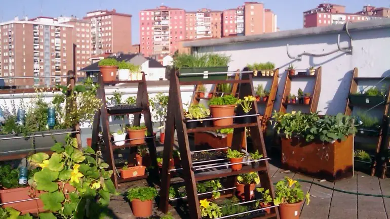 jardines urbanos jardines urbanos