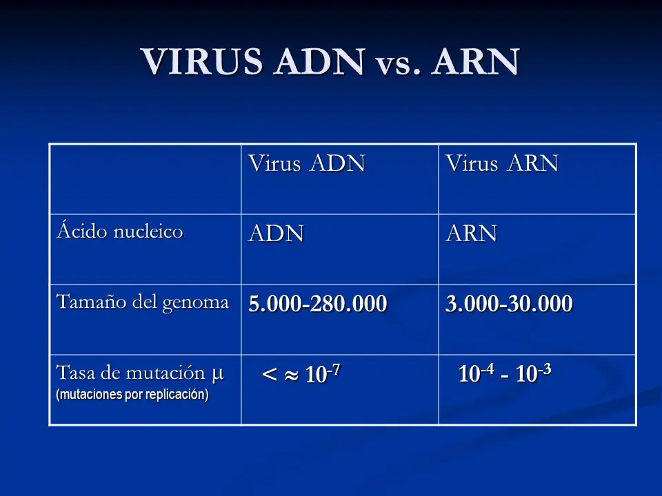 cosas de virus