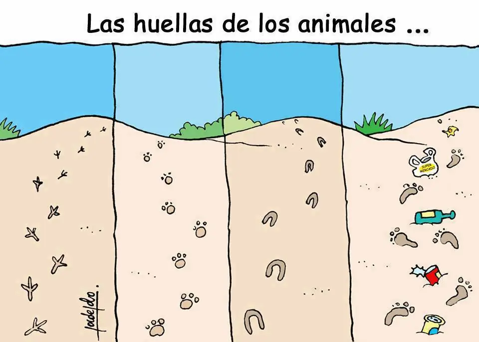 Humor de Miercoles