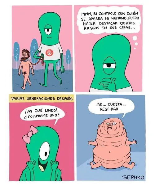 imagenes divertidas