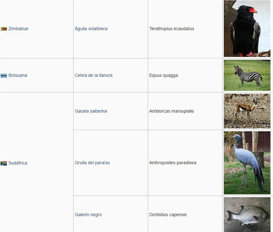 animales