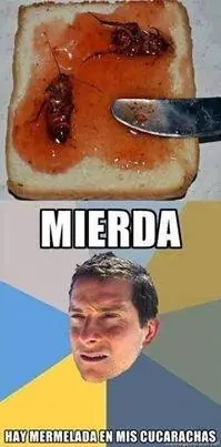imagenes graciosas