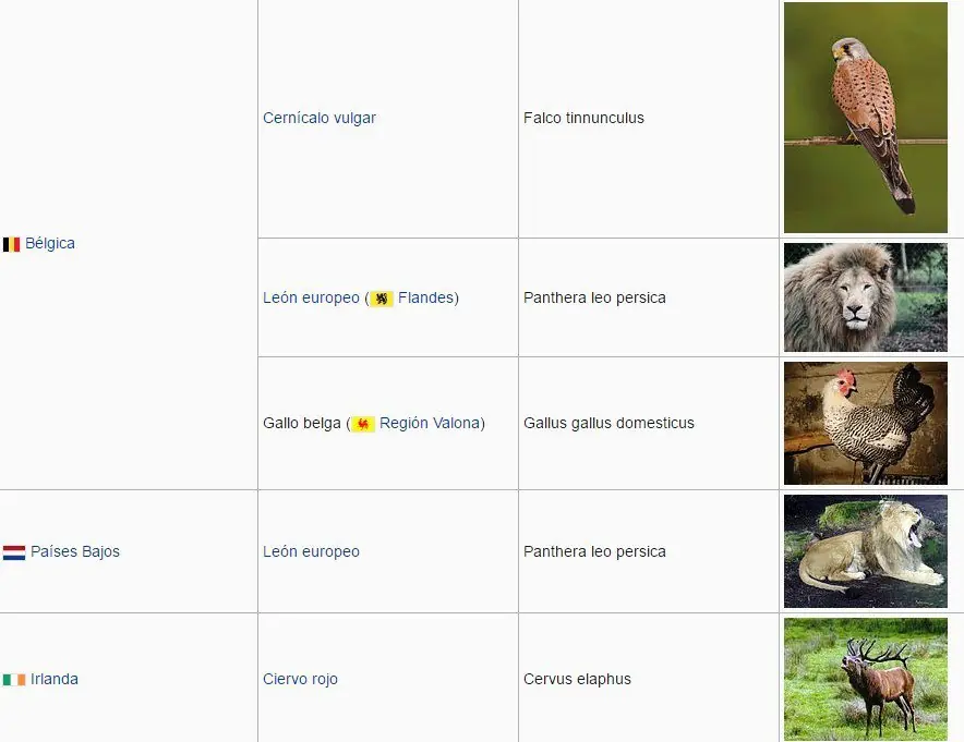 animales